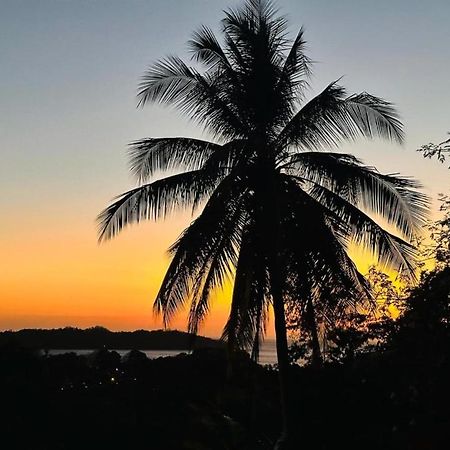 圣卡塔利娜岛 太阳与海旅馆酒店 外观 照片